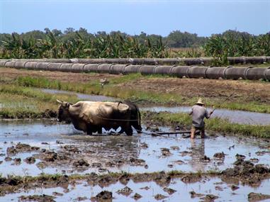 2004 Cuba, Chivirico - Bayamo - Cayo Coco, DSC01415 B_B720